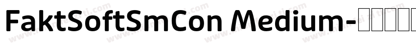 FaktSoftSmCon Medium字体转换